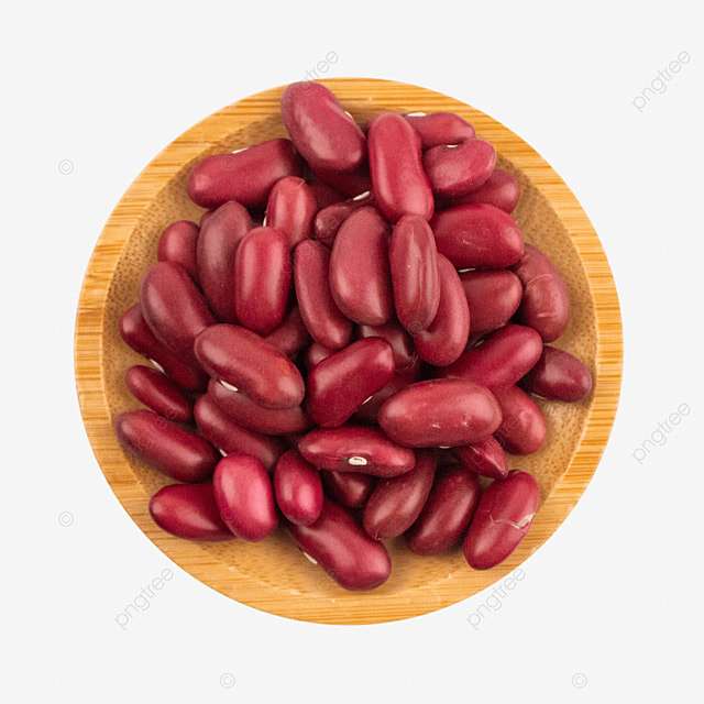 65604